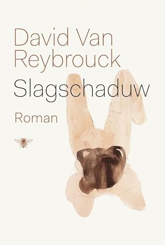 Beispielbild fr Slagschaduw: roman zum Verkauf von WorldofBooks