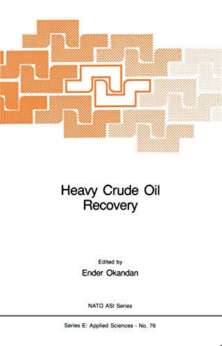 9789024729517: Heavy Crude Oil Recovery: 76 (NATO Science Series E:, 76)