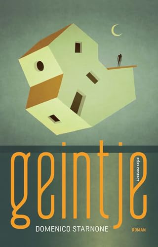 Stock image for Geintje: roman for sale by WorldofBooks