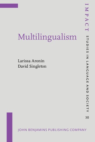 Imagen de archivo de Multilingualism: 30 (IMPACT: Studies in Language, Culture and Society) a la venta por WorldofBooks