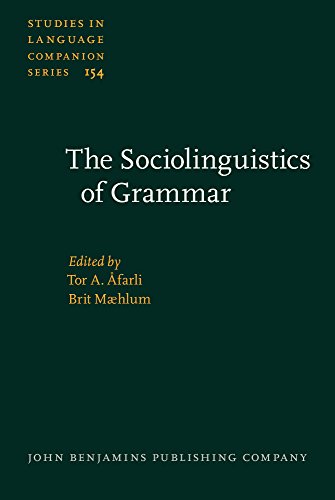 The Sociolinguistics of Grammar (Studies in Language Companion Series)