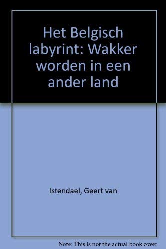 Stock image for Het Belgisch labyrint: wakker worden in een ander land for sale by AwesomeBooks