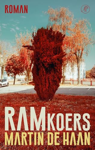 Beispielbild fr Ramkoers: roman zum Verkauf von medimops