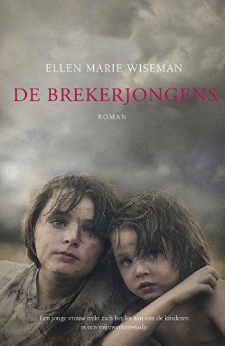 Stock image for De brekerjongens: roman for sale by medimops