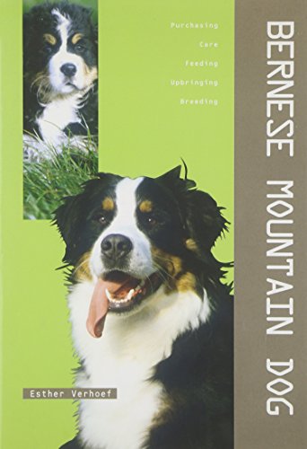 Beispielbild fr Bernese Mountain Dog zum Verkauf von WorldofBooks