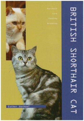 9789036610971: British Shorthair