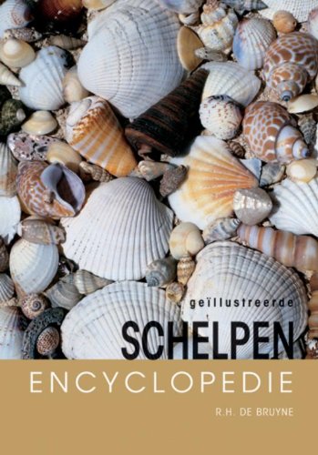 9789036613613: Schelpen encyclopedie