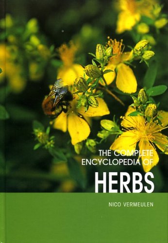 Beispielbild fr Dumonts Lexicon of Herbs zum Verkauf von WorldofBooks