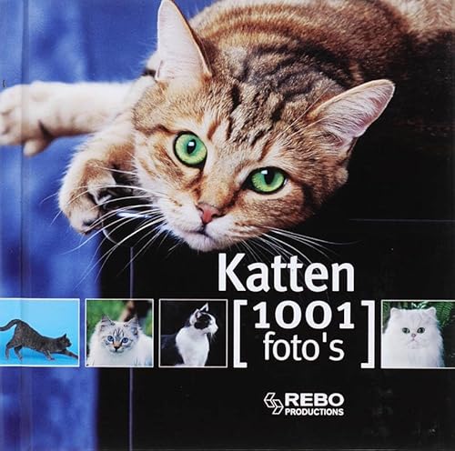 Stock image for Katten: 1001 foto's (Dutch Edition) for sale by Wonder Book