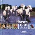 Stock image for 1001 Photos Cubebook Horses for sale by ThriftBooks-Dallas