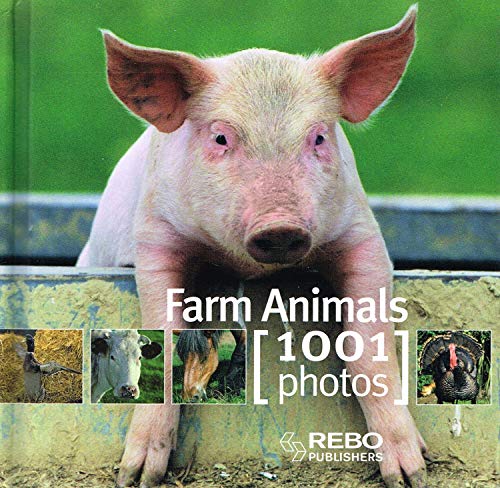 Beispielbild fr Farm Animals zum Verkauf von Better World Books