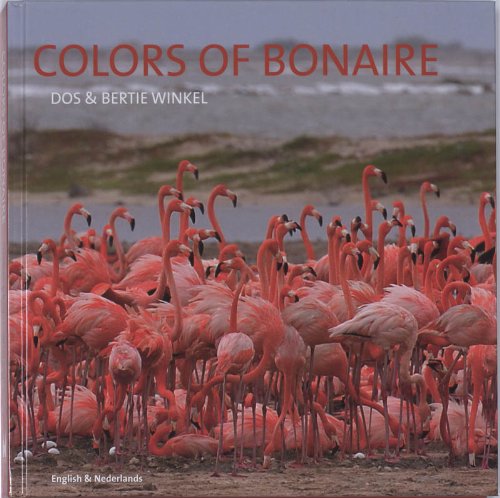 Beispielbild fr Colors of Bonaire. English & Nederlands, zum Verkauf von Buchparadies Rahel-Medea Ruoss