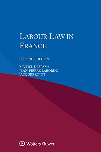 9789041189103: Labour Law in France