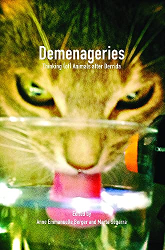 Beispielbild fr Demenageries: Thinking of Animals After Derrida (Critical Studies, 35) zum Verkauf von Phatpocket Limited