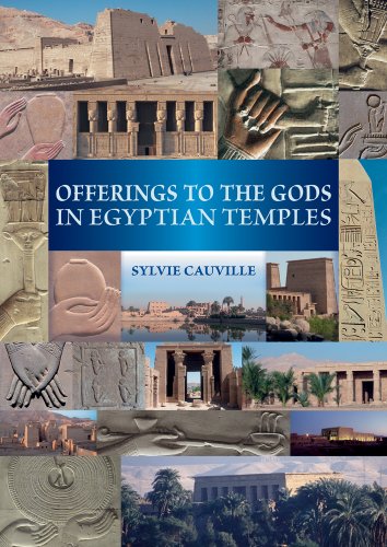 Beispielbild fr Offerings to the Gods in Egyptian Temples zum Verkauf von ISD LLC