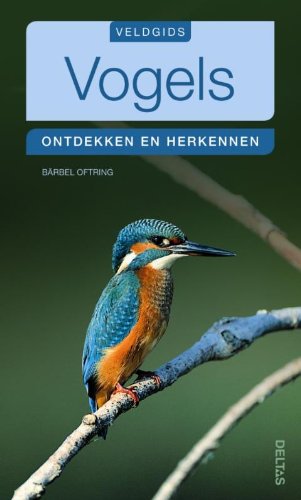 9789044732023: Vogels: ontdekken en herkennen (Veldgids)