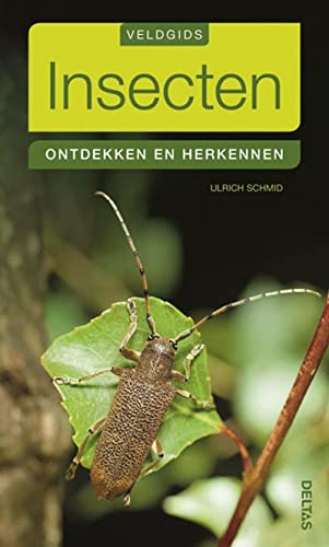 Imagen de archivo de Insecten: ontdekken en herkennen (Veldgids) a la venta por medimops