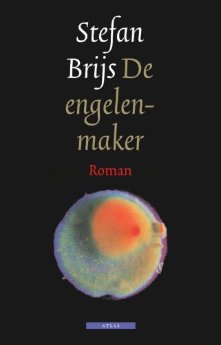 Stock image for De engelenmaker: roman for sale by medimops