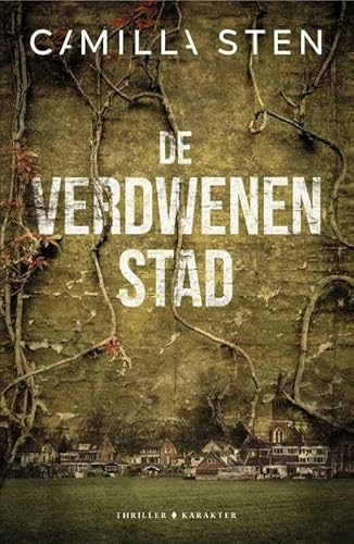 Stock image for De verdwenen stad for sale by medimops