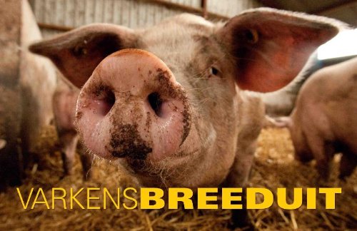 Stock image for Varkens Breeduit for sale by medimops
