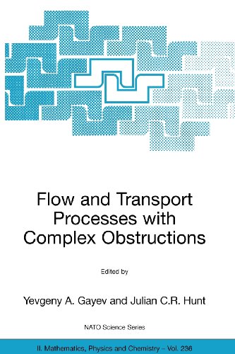 9789048110964: Flow and Transport Processes with Complex Obstructions