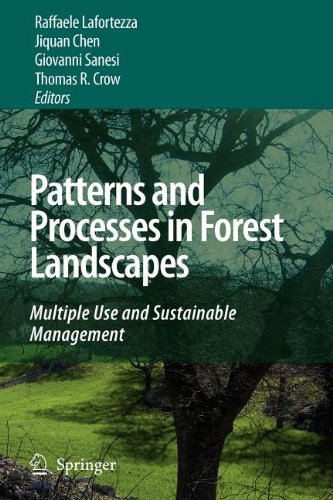 9789048120246: Patterns and Processes in Forest Landscapes