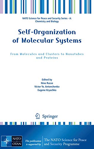 9789048124824: Self-Organization of Molecular Systems: From Molecules and Clusters to Nanotubes and Proteins (NATO Science for Peace and Security Series A: Chemistry and Biology)