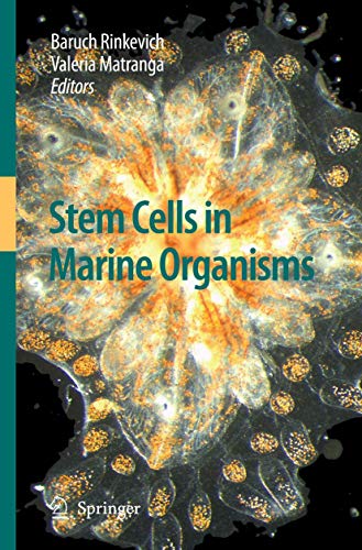 9789048127665: Stem Cells in Marine Organisms
