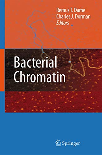 9789048134724: Bacterial Chromatin