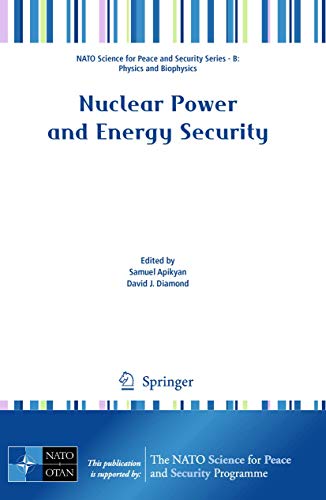 9789048135035: Nuclear Power and Energy Security