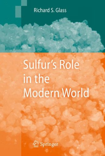 9789048138371: Sulfur's Role in the Modern World