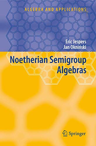 Stock image for Noetherian Semigroup Algebras for sale by Kennys Bookshop and Art Galleries Ltd.