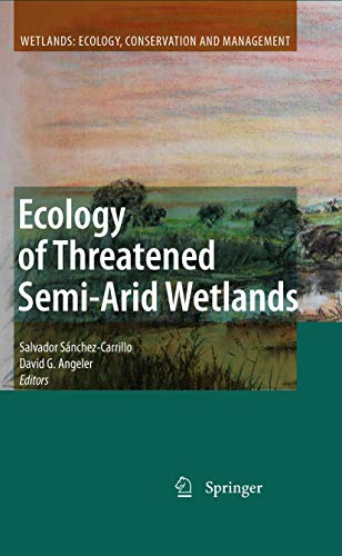 Stock image for Ecology Of Threatened Semi Arid Wetlands for sale by Basi6 International