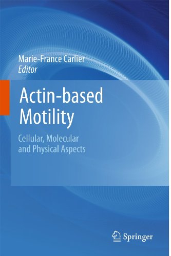 9789048193004: Actin-Based Motility: Cellular, Molecular and Physical Aspects