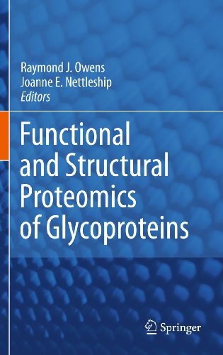 9789048193547: Functional and Structural Proteomics of Glycoproteins