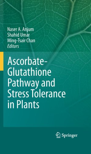 Beispielbild fr Ascorbate-Glutathione Pathway and Stress Tolerance in Plants zum Verkauf von Lucky's Textbooks