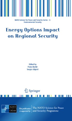 Stock image for Energy Options Impact on Regional Security (NATO Science for Peace and Security Series C: Environmental Security) for sale by Lucky's Textbooks