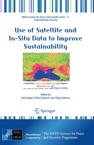 9789048196203: Use of Satellite and In-Situ Data to Improve Sustainability: Environmental Security)