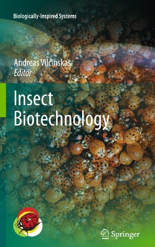 9789048196401: Insect Biotechnology: 2 (Biologically-Inspired Systems)