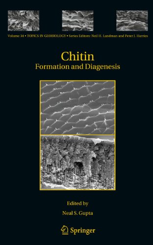 9789048196838: Chitin: Formation and Diagenesis: 34 (Topics in Geobiology)