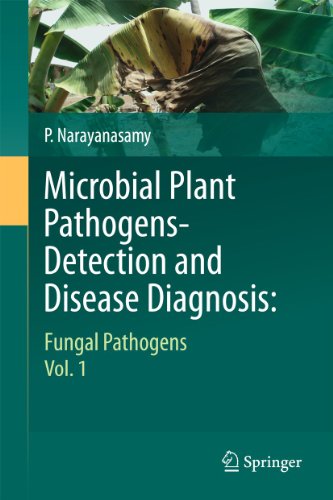 Beispielbild fr Microbial Plant Pathogens-Detection and Disease Diagnosis:: Fungal Pathogens, Vol.1 zum Verkauf von Lucky's Textbooks