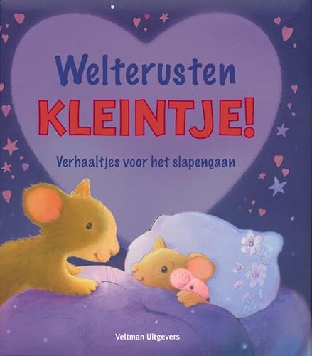 Stock image for Welterusten kleintje!: verhaaltjes voor het slapengaan for sale by AwesomeBooks