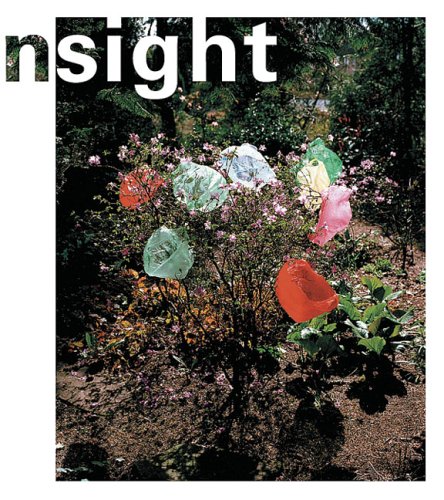 In Sight: Contemporary Dutch Photography from the Collection of the Stedelijk Museum, Amsterdam (9789050061698) by Carol Visser, Hripsime; Ehlers; Carol Ehlers