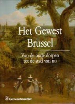 9789050660471: Het Gewest Brussel: Van de oude dorpen tot de stad van nu (Historische uitgaven) (Dutch Edition)