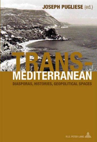 Beispielbild fr Transmediterranean: Diasporas, Histories, Geopolitical Spaces zum Verkauf von AwesomeBooks