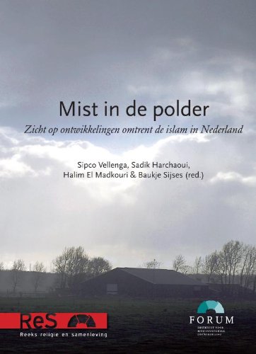 Imagen de archivo de Mist in de polder : zicht op ontwikkelingen omtrent de islam in Nederland. a la venta por Kloof Booksellers & Scientia Verlag