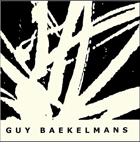 9789053253816: Guy Baekelmans: A Spiritual Journey