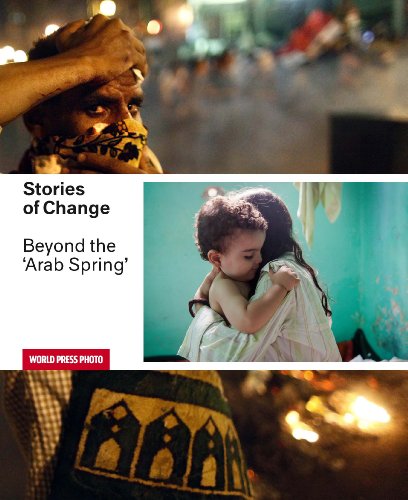 Beispielbild fr Stories of Change: Beyond the 'Arab Spring' zum Verkauf von Anybook.com