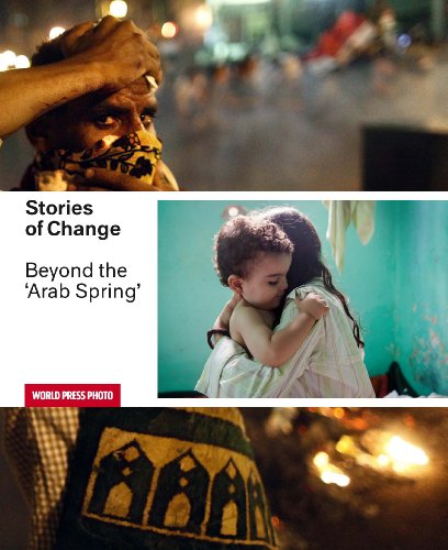 Imagen de archivo de Stories of Change: Beyond the Arab Spring a la venta por Best and Fastest Books