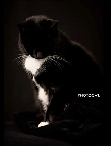 Stock image for PhotoCat. for sale by SecondSale